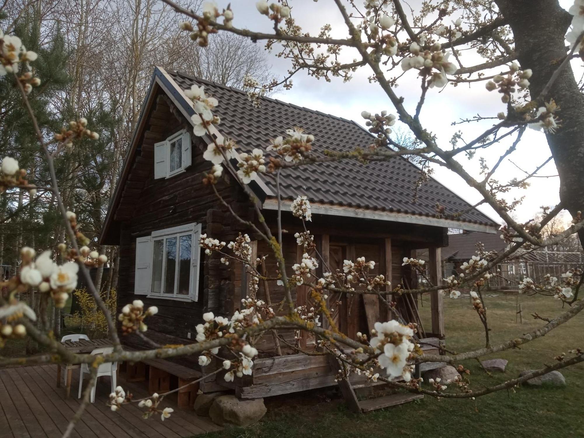 Penzion Senosios Geguzines Ukis Exteriér fotografie